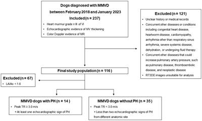 Predictive value of left atrial volumes assessed using real-time three-dimensional echocardiography for pulmonary hypertension in dogs with myxomatous mitral valve disease